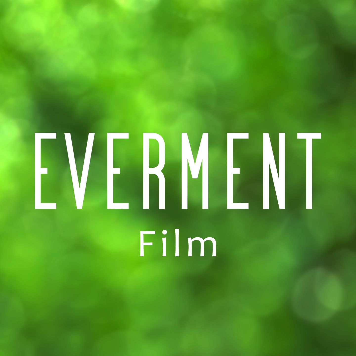 EVERMENT film