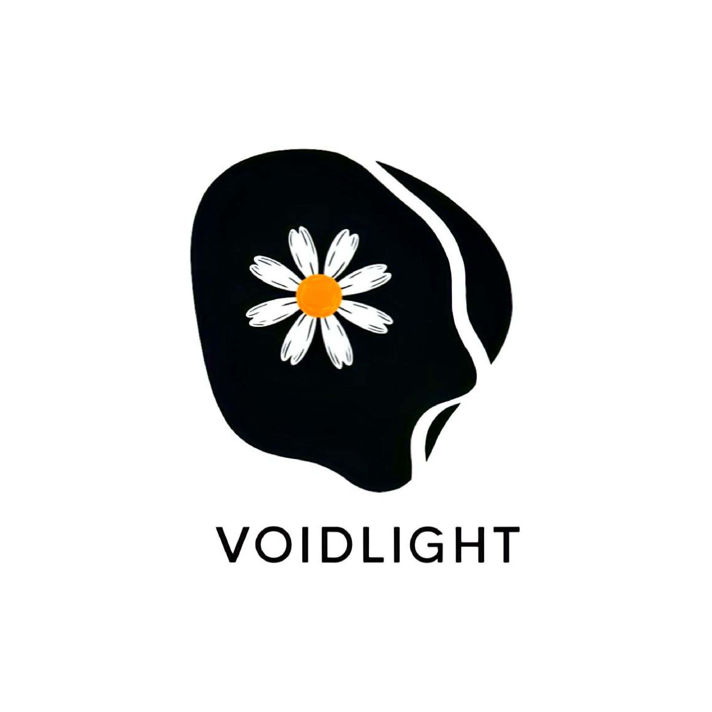 VoidLight_현