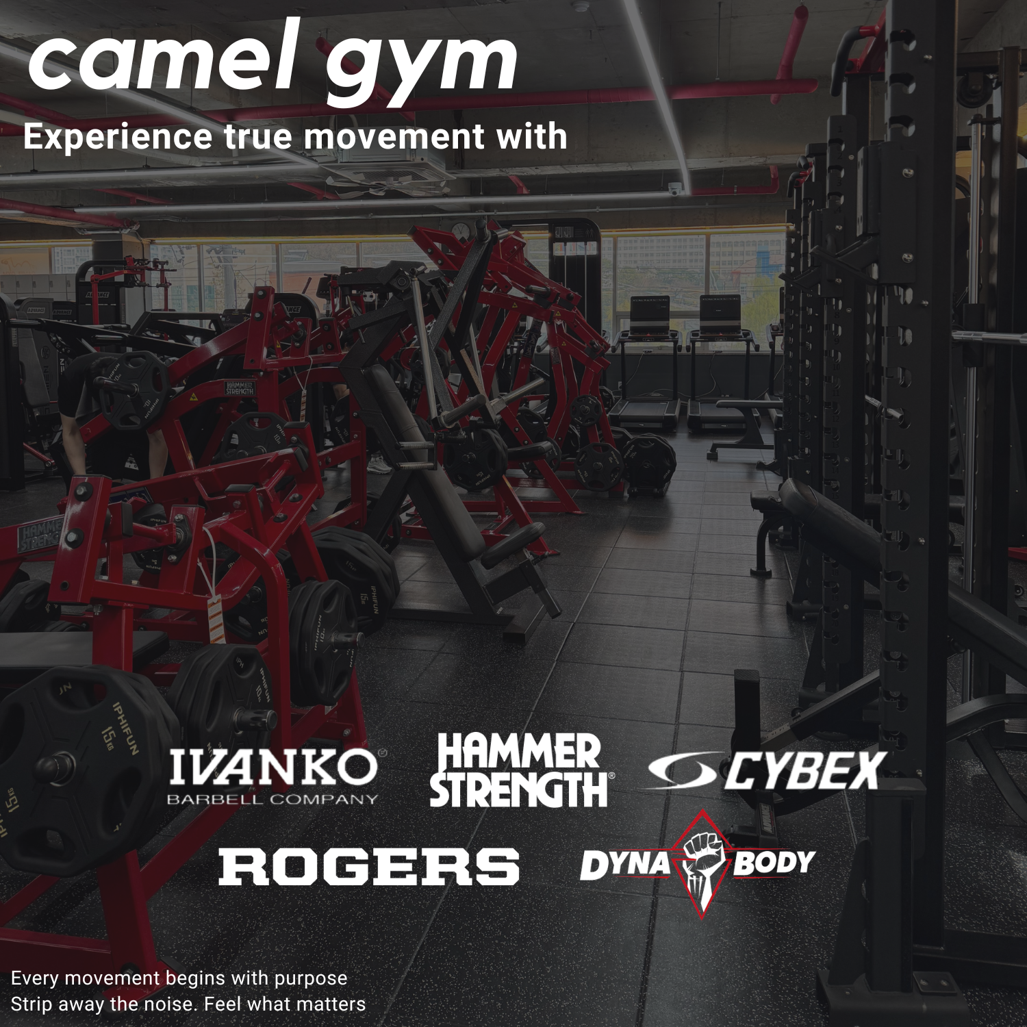 CAMEL GYM